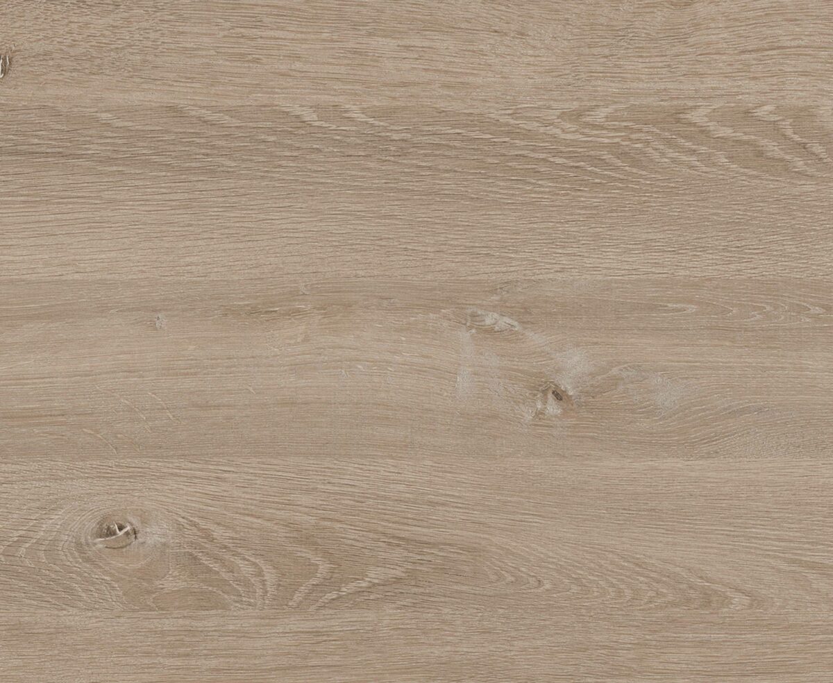 231 Eiche Bergamo Nachbildung