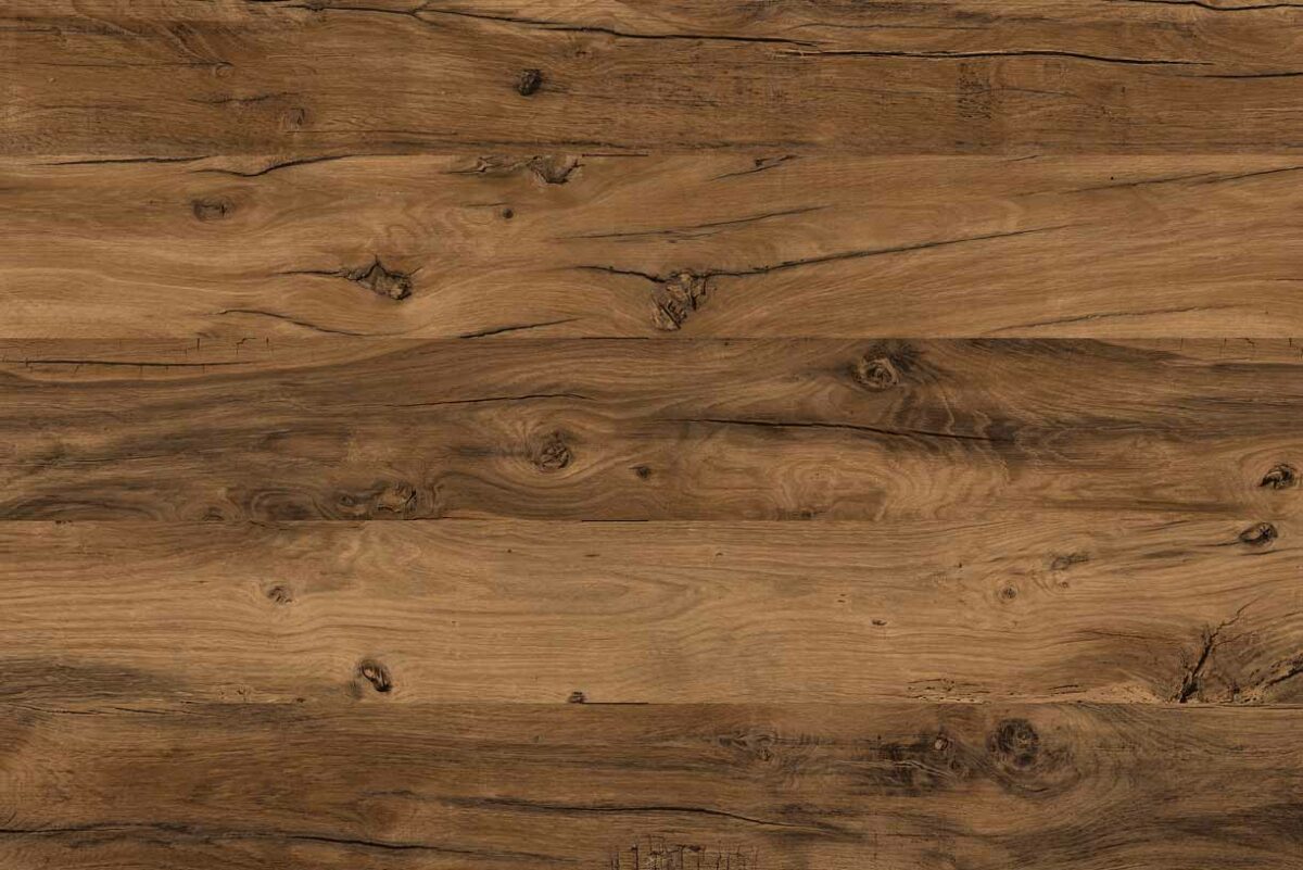 272 Balkeneiche Nachbildung