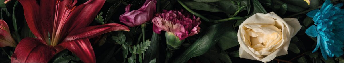 581 Dekor Iconic Flowers